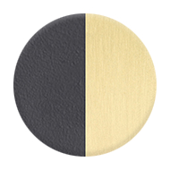Satin Brass with Flat Black